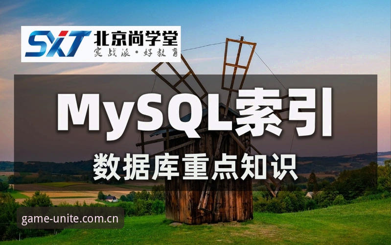 聚力此刻法网观赛实战教程：从比赛细节看数据版本革命
